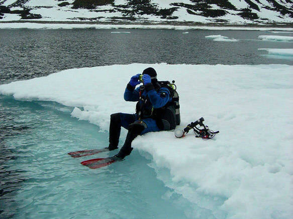 un plongeur assis sur l'iceberg s'apprête à plonger